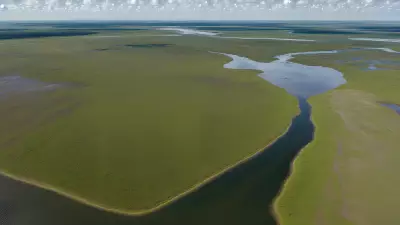 Extraordinary Diversity Wildlife of Marshes