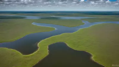 Extraordinary Diversity Wildlife of Marshes
