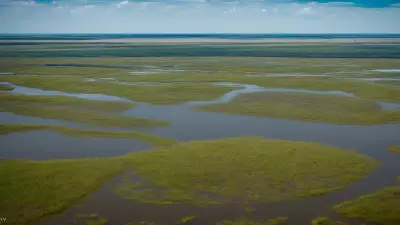 Extraordinary Diversity Wildlife of Marshes