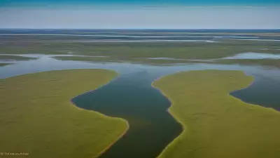 Extraordinary Diversity Wildlife of Marshes