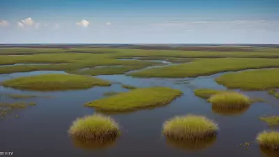 Extraordinary Diversity Wildlife of Marshes