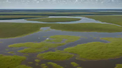Extraordinary Diversity Wildlife of Marshes