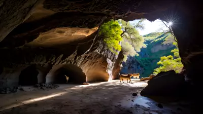 Wildlife in an Elegant Cave