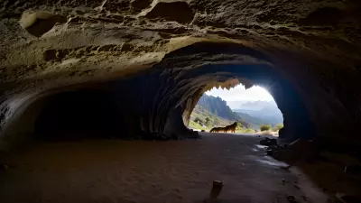 Wildlife in an Elegant Cave