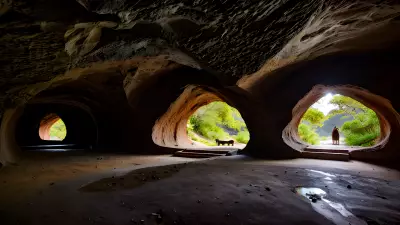 Wildlife in an Elegant Cave