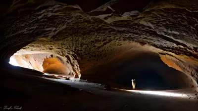 Wildlife in an Elegant Cave