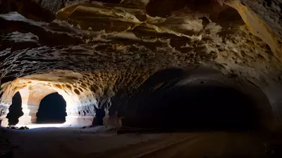 Wildlife in an Elegant Cave