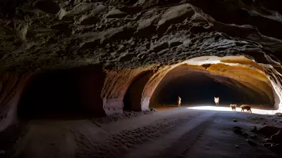 Wildlife in an Elegant Cave