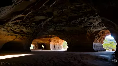 Wildlife in an Elegant Cave
