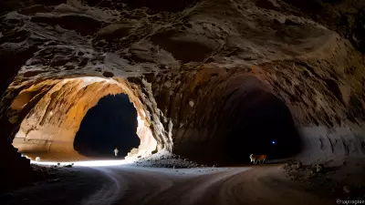 Wildlife in an Elegant Cave