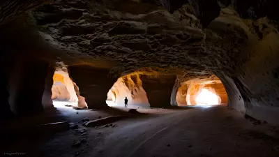 Wildlife in an Elegant Cave
