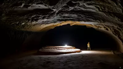 Wildlife in an Elegant Cave