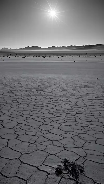Desolate Dessert Nights