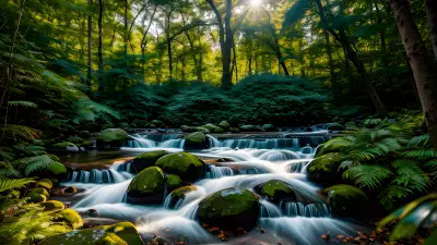 Nature through the lens of bokeh fascination