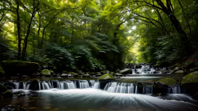 Nature through the lens of bokeh fascination