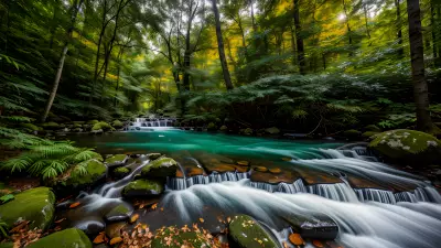 Nature through the lens of bokeh fascination
