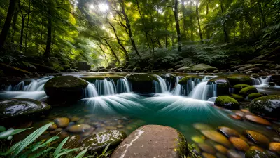 Nature through the lens of bokeh fascination