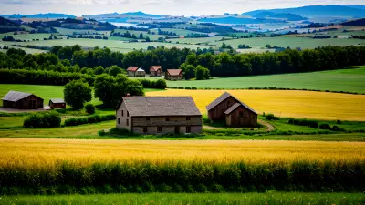 Rustic Beauty Capturing the Farmhouse in Evoke Errored Hills