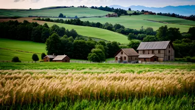 Rustic Beauty Capturing the Farmhouse in Evoke Errored Hills