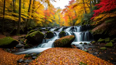 Autumn Alchemy Exploring the Surreal Beauty of Nature