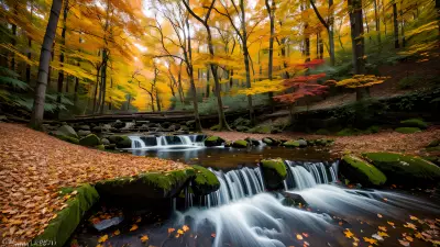 Autumn Alchemy Exploring the Surreal Beauty of Nature