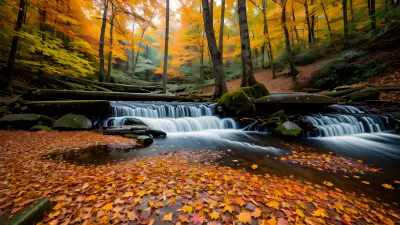 Autumn Alchemy Exploring the Surreal Beauty of Nature