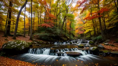 Autumn Alchemy Exploring the Surreal Beauty of Nature