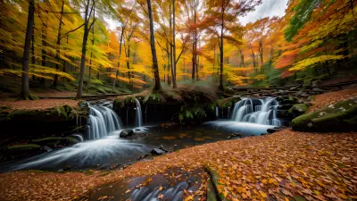 Autumn Alchemy Exploring the Surreal Beauty of Nature