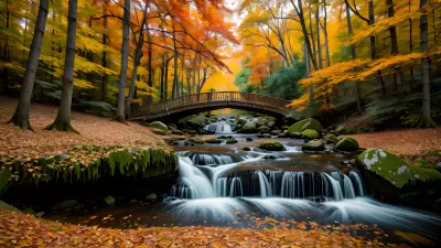Autumn Alchemy Exploring the Surreal Beauty of Nature
