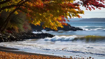 High Speed Autumn Captured by Ansel Adams