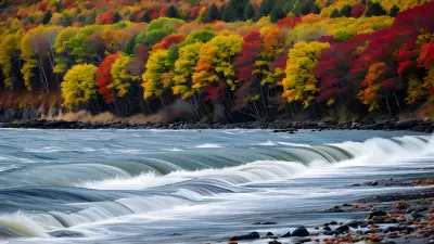 High Speed Autumn Captured by Ansel Adams