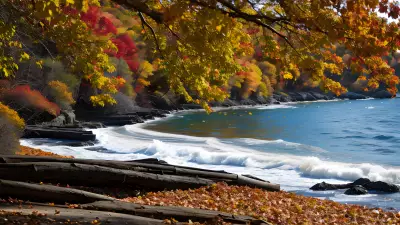 High Speed Autumn Captured by Ansel Adams