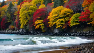 High Speed Autumn Captured by Ansel Adams
