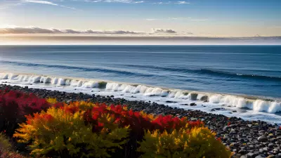 High Speed Autumn Captured by Ansel Adams