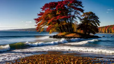 High Speed Autumn Captured by Ansel Adams