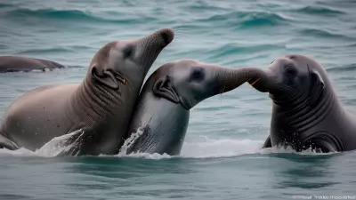 The Intimate Dance of Love A Look at Elephant Seals Mating Rituals