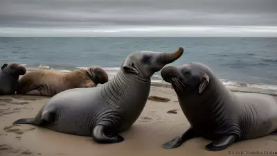 The Intimate Dance of Love A Look at Elephant Seals Mating Rituals
