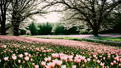 Dreaming of Spring A Journey of Discovery Through the Lens of Linda McCartney
