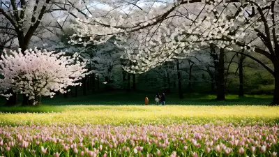 Dreaming of Spring A Journey of Discovery Through the Lens of Linda McCartney