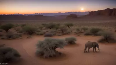 Gentle Giants of Oasis Witness the Majesty at Blue Hour