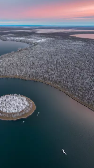 Spectacular Beauty of Whooper Wonders in Remote Locations