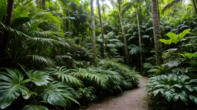 Patterns in the Rainforest A Vibrant Holiday Destination