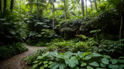 Patterns in the Rainforest A Vibrant Holiday Destination