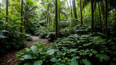 Patterns in the Rainforest A Vibrant Holiday Destination