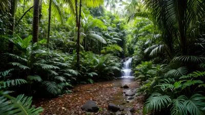 Patterns in the Rainforest A Vibrant Holiday Destination