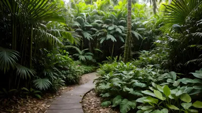 Patterns in the Rainforest A Vibrant Holiday Destination