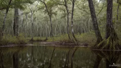 Encountering Unfiltered Beauty in Diverse Swamp Life