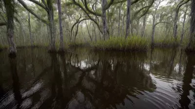 Encountering Unfiltered Beauty in Diverse Swamp Life