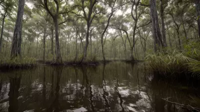 Encountering Unfiltered Beauty in Diverse Swamp Life