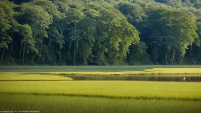 Nature's Palette Lowland Species in Contrasting View